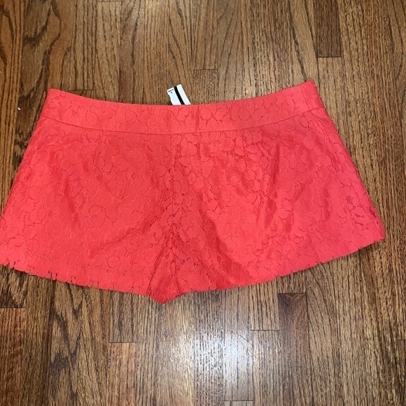 Single (Galina Sobolev) Shorts Size 6  NWT - Picture 3 of 8